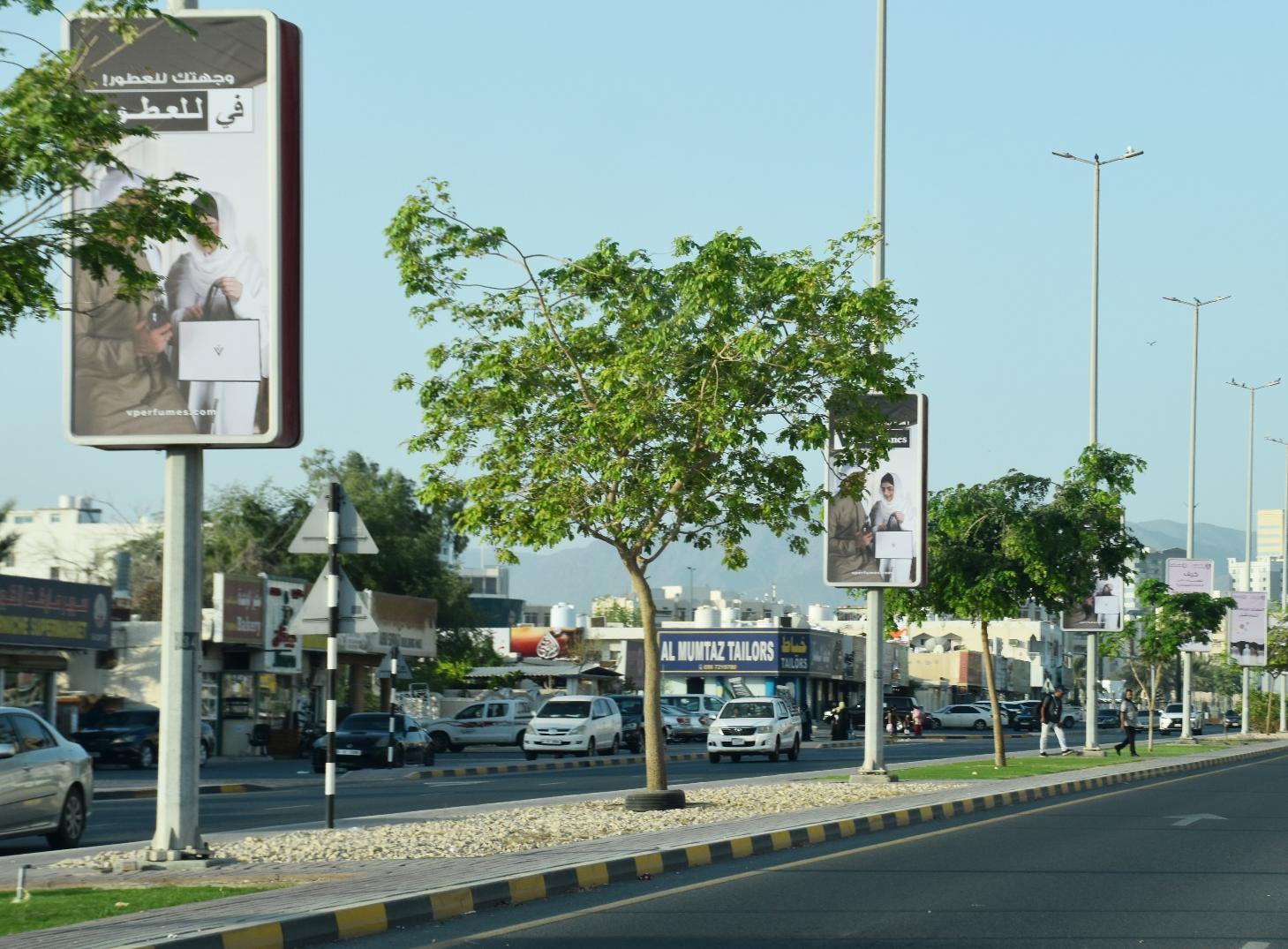Al Salam Rd Opp Old Etisalat Area Back-Lit Lamppost