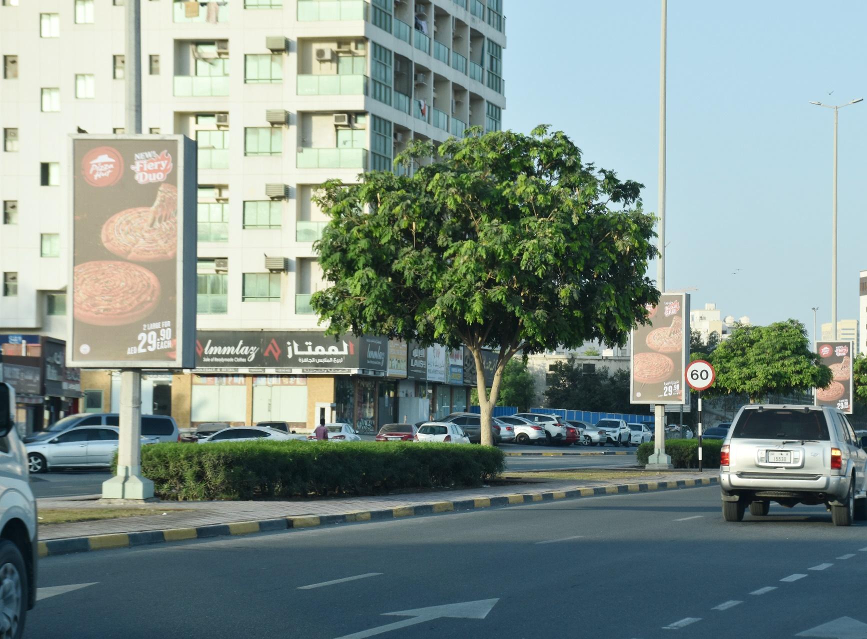 Gold Souk Area Back-Lit Lamppost