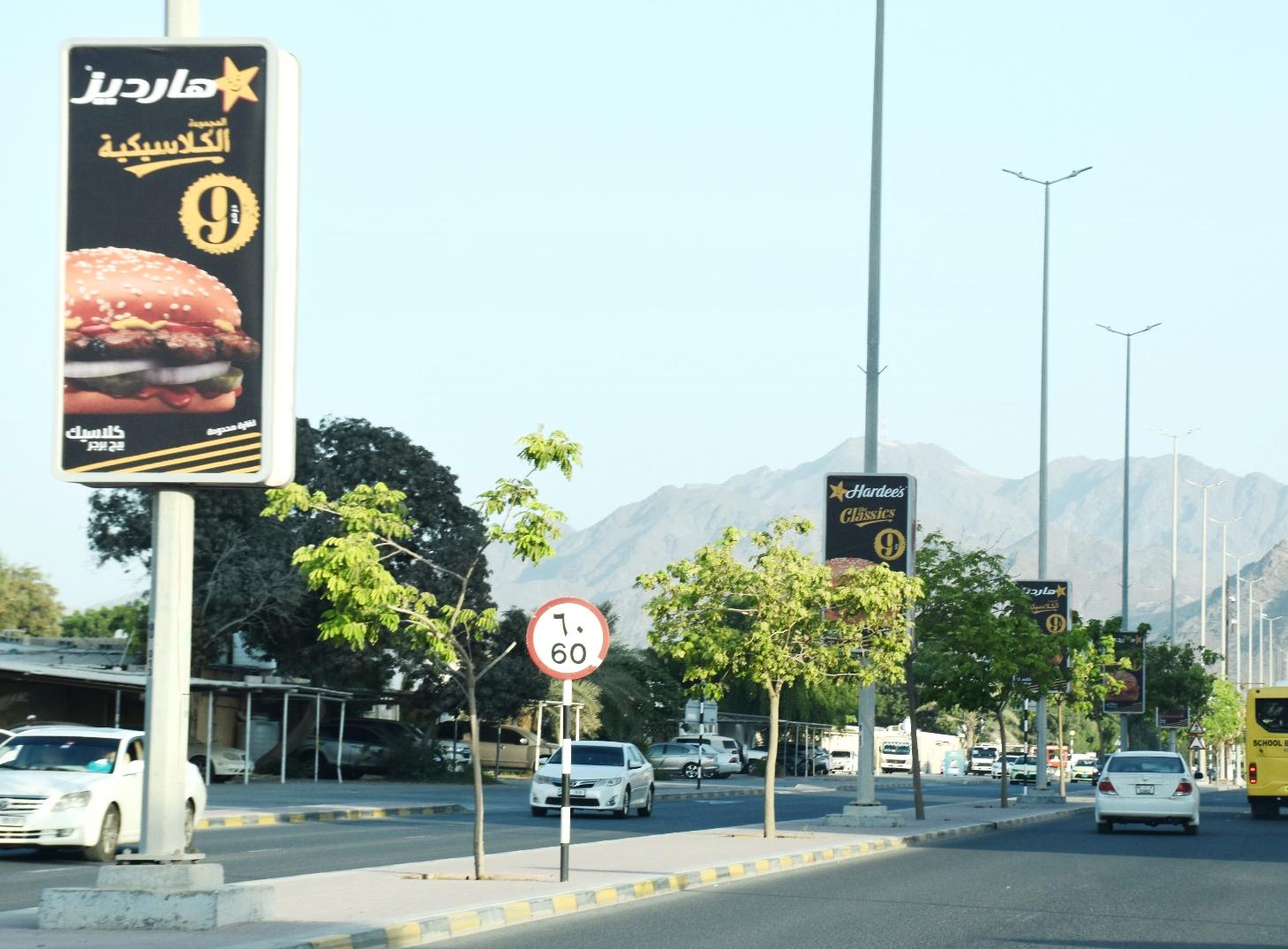 Fujairah Stadium Area Opp Thumbay Hospital Back-Lit Lamppost
