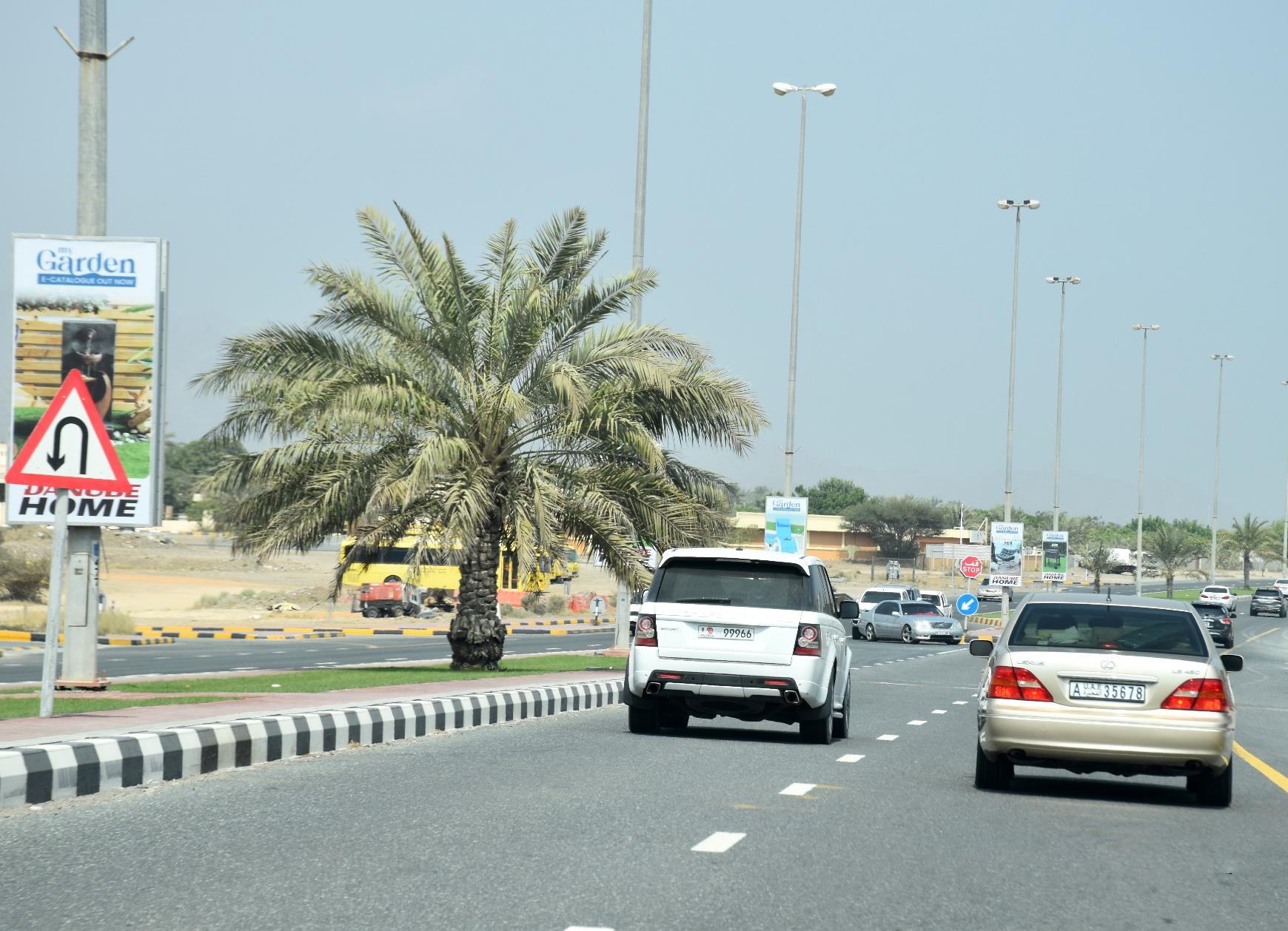 Dhadna Back-Lit Lamppost